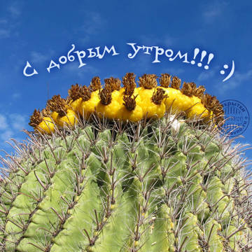 http://upforme.ru/uploads/001a/39/7c/175/t315038.jpg