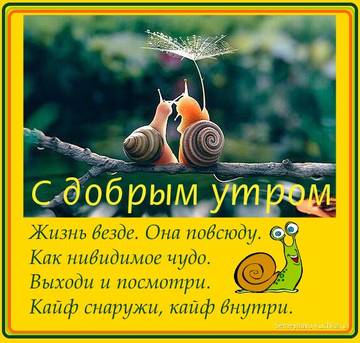 http://upforme.ru/uploads/001a/39/7c/175/t332051.jpg