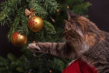 http://upforme.ru/uploads/001a/39/7c/175/t346361.jpg