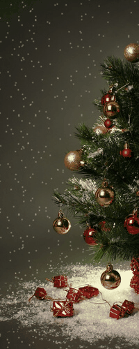 http://upforme.ru/uploads/001a/39/7c/175/t355460.gif