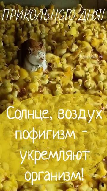 http://upforme.ru/uploads/001a/39/7c/175/t374791.jpg