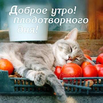 http://upforme.ru/uploads/001a/39/7c/175/t38837.jpg