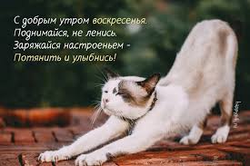 http://upforme.ru/uploads/001a/39/7c/175/t419252.jpg