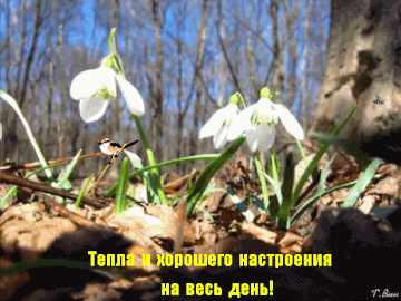 http://upforme.ru/uploads/001a/39/7c/175/t430635.gif