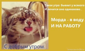 http://upforme.ru/uploads/001a/39/7c/175/t433926.jpg