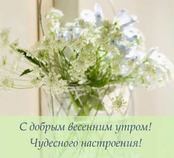 http://upforme.ru/uploads/001a/39/7c/175/t496590.png
