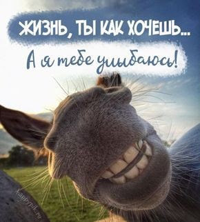http://upforme.ru/uploads/001a/39/7c/175/t503613.jpg