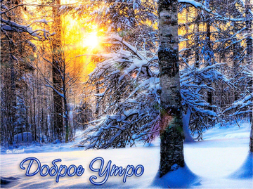 http://upforme.ru/uploads/001a/39/7c/175/t568179.png