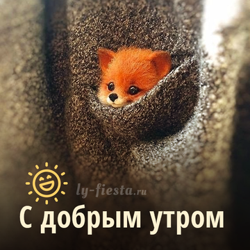 http://upforme.ru/uploads/001a/39/7c/175/t597220.png