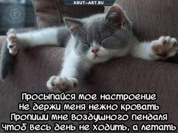 http://upforme.ru/uploads/001a/39/7c/175/t618054.jpg