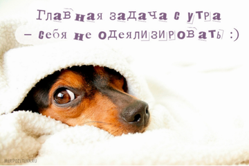http://upforme.ru/uploads/001a/39/7c/175/t620110.png