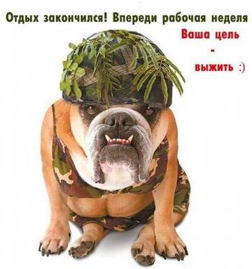 http://upforme.ru/uploads/001a/39/7c/175/t64751.jpg