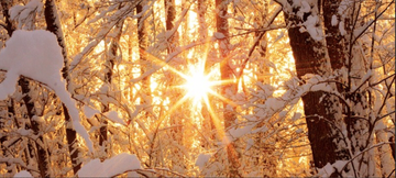 http://upforme.ru/uploads/001a/39/7c/175/t656436.png