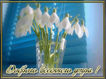 http://upforme.ru/uploads/001a/39/7c/175/t674365.gif