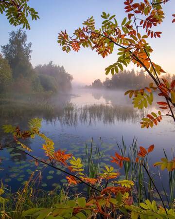 http://upforme.ru/uploads/001a/39/7c/175/t696381.jpg