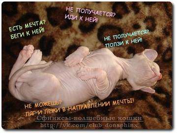 http://upforme.ru/uploads/001a/39/7c/175/t69865.jpg