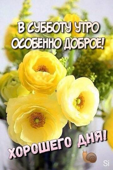 http://upforme.ru/uploads/001a/39/7c/175/t734129.jpg