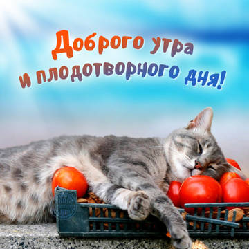 http://upforme.ru/uploads/001a/39/7c/175/t73723.jpg