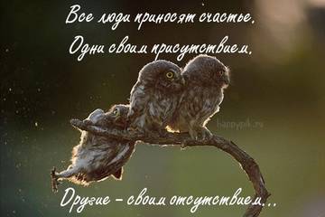 http://upforme.ru/uploads/001a/39/7c/175/t82005.jpg