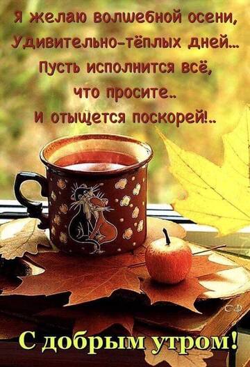 http://upforme.ru/uploads/001a/39/7c/175/t820888.jpg