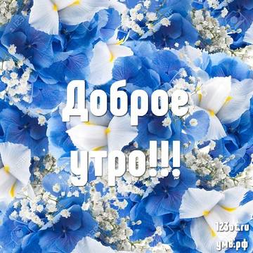 http://upforme.ru/uploads/001a/39/7c/175/t869322.jpg