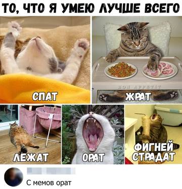 http://upforme.ru/uploads/001a/39/7c/175/t89820.jpg