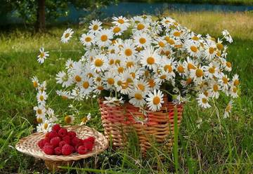 http://upforme.ru/uploads/001a/39/7c/175/t907836.jpg