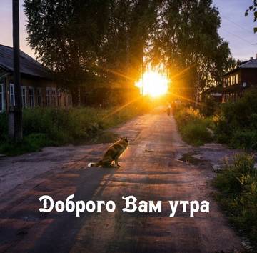 http://upforme.ru/uploads/001a/39/7c/175/t909293.jpg