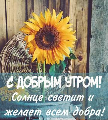 http://upforme.ru/uploads/001a/39/7c/175/t910703.jpg