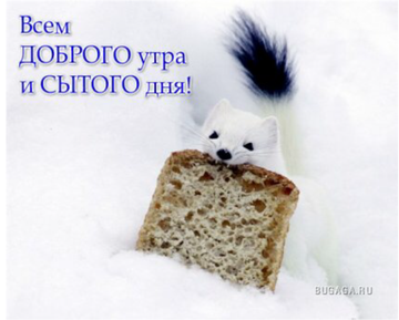 http://upforme.ru/uploads/001a/39/7c/175/t912116.png