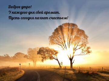 http://upforme.ru/uploads/001a/39/7c/175/t960151.jpg