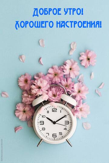 http://upforme.ru/uploads/001a/39/7c/175/t968110.jpg