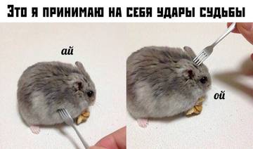 http://upforme.ru/uploads/001a/39/7c/175/t98909.jpg