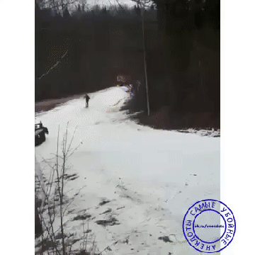 http://upforme.ru/uploads/001a/39/7c/190/t19158.gif