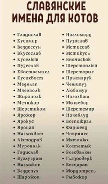 http://upforme.ru/uploads/001a/39/7c/27/t14002.jpg