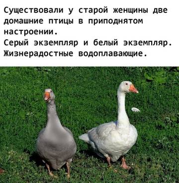 http://upforme.ru/uploads/001a/39/7c/27/t21633.jpg