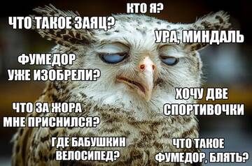http://upforme.ru/uploads/001a/39/7c/30/t588242.jpg