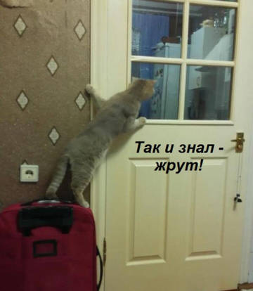 http://upforme.ru/uploads/001a/39/7c/319/t21229.jpg
