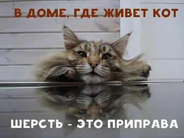 http://upforme.ru/uploads/001a/39/7c/319/t349982.jpg