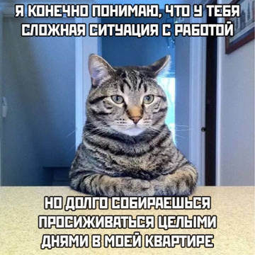 http://upforme.ru/uploads/001a/39/7c/319/t53367.jpg