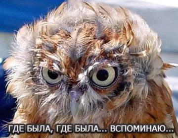 http://upforme.ru/uploads/001a/39/7c/319/t63499.jpg