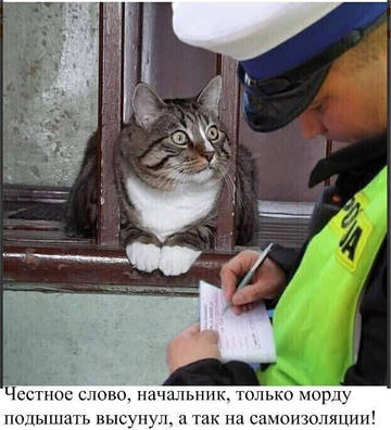 http://upforme.ru/uploads/001a/39/7c/319/t642732.jpg