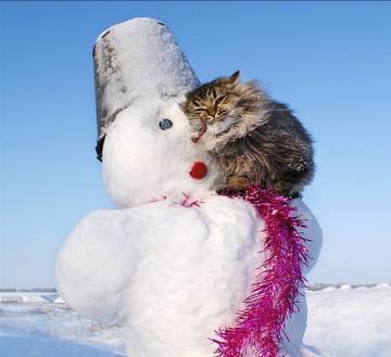 http://upforme.ru/uploads/001a/39/7c/319/t68224.jpg