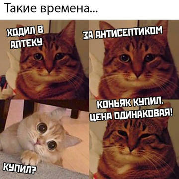 http://upforme.ru/uploads/001a/39/7c/319/t781062.jpg