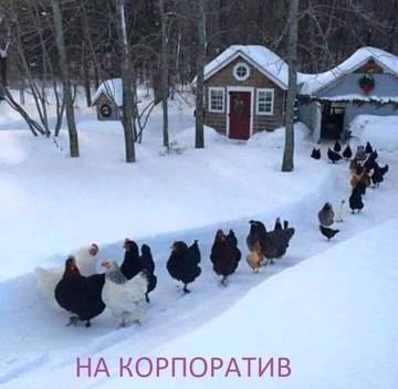 http://upforme.ru/uploads/001a/39/7c/319/t82787.jpg