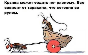 http://upforme.ru/uploads/001a/39/7c/319/t90024.jpg