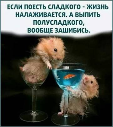 http://upforme.ru/uploads/001a/39/7c/319/t97675.jpg