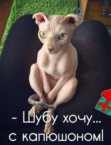 http://upforme.ru/uploads/001a/39/7c/410/t11186.jpg