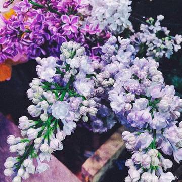 http://upforme.ru/uploads/001a/39/7c/410/t12715.jpg