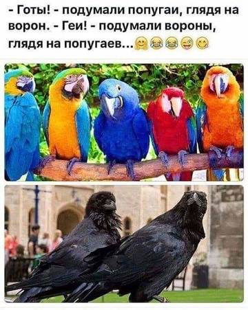 http://upforme.ru/uploads/001a/39/7c/410/t22331.jpg